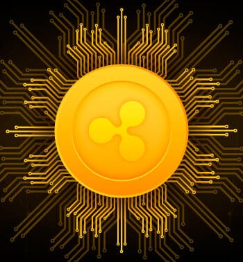 What Is Ripple? A Beginner's Guide for Understanding Ripple
