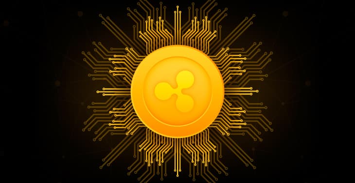 What Is Ripple? A Beginner's Guide for Understanding Ripple