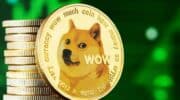 Dogecoin: From meme to mainstream — What’s next?